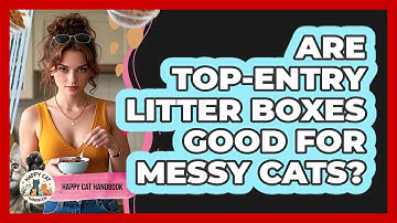 Are Top-entry Litter Boxes Good For Messy Cats? - Happy Cat Handbook