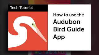 Tech Tutorial Audubon Bird Guide App