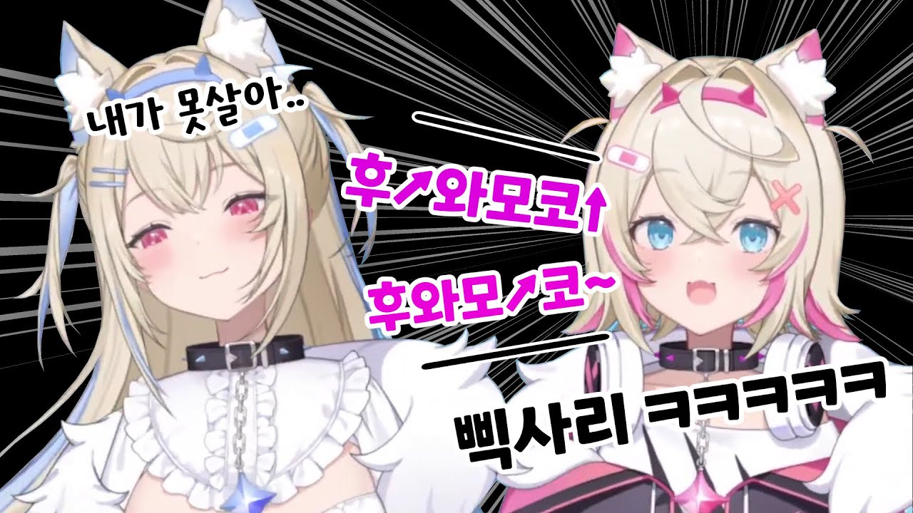 건수 제대로 잡은 모코코가 놀림을 멈추지 않는다