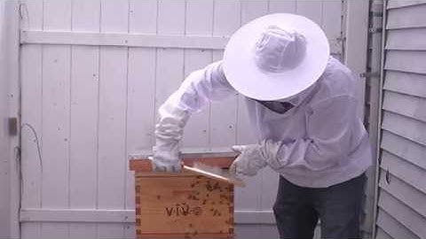 BEE-KIT2 Beekeeping tool starter kit by VIVO