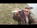 Вода пришла , рыба ушла .Рыбалка в Астрахани 2021