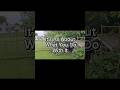 Working With What You Got Garden Chickenlife Backyardchickens Backyardfarming Working With What You Got Garden Chickenlife Backyardchickens Backyardfarming