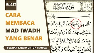 belajar mad iwad beserta contohnya tajwid dasar