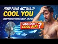How Fans Actually Cool You (Thermodynamics Explained)