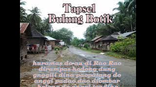 Tapsel Bulung Botik (Lirik )