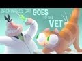 Backwards Cat Goes to the Vet