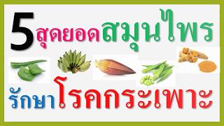 5 สุดยอดสมุนไพรรักษาโรคกระเพาะอาหาร