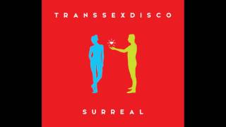 TRANSSEXDISCO - BRAWA DLA ARTYSTY chords