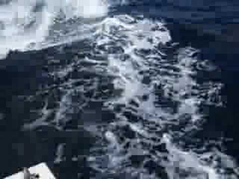 Killer Whales Follow Boat (Part 1)