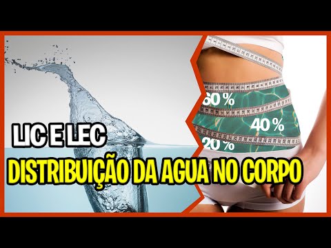 Vídeo: Como é chamado o fluido extracelular?