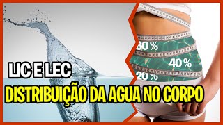 Líquido Intra-Celular (LIC) e Líquido Extra-Celular (LEC): A fisiologia humana.