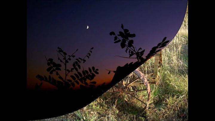 Autumn Comes : Theresa Fiona Menzel & Friedhelm Sc...