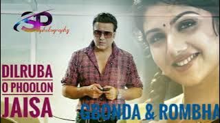 Dilruba o phoolon jaisa ka kiya // gobinda & rombha // #sp_photography // 90's hits song //Beti no.1