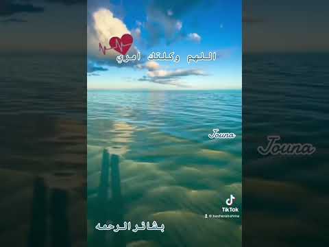 اللهم وكلتك امري وحيرتي وشتاتي قران كريم قران  دعاء دعاء يريح