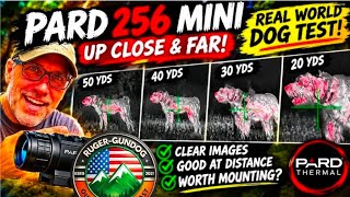 PARD 256 Mini Part 2: 50 Yards to 10 Yards — Is This Thermal REALLY Rifle Ready?