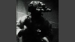 TESTOSTERONE - PHABAER
