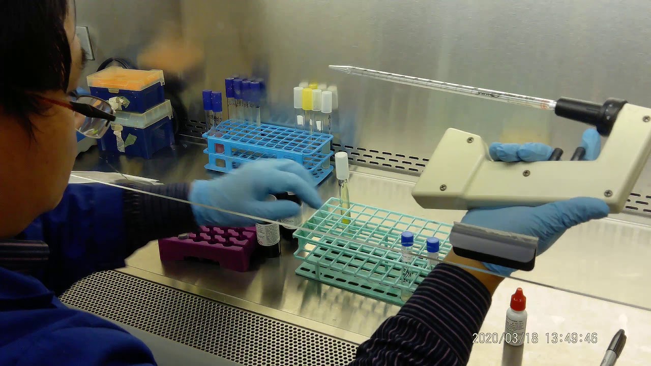 Lab 11 Biochemistry test 3 Demo - YouTube