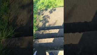 De Bağa Manzara Nasiiifethiye Köyü. Ikebir Ğa Çe Öy