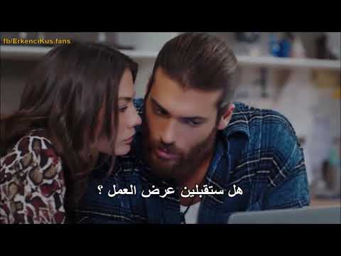 مسلسل الطائر المبكر الحلقة 31 مترجم كامل HD