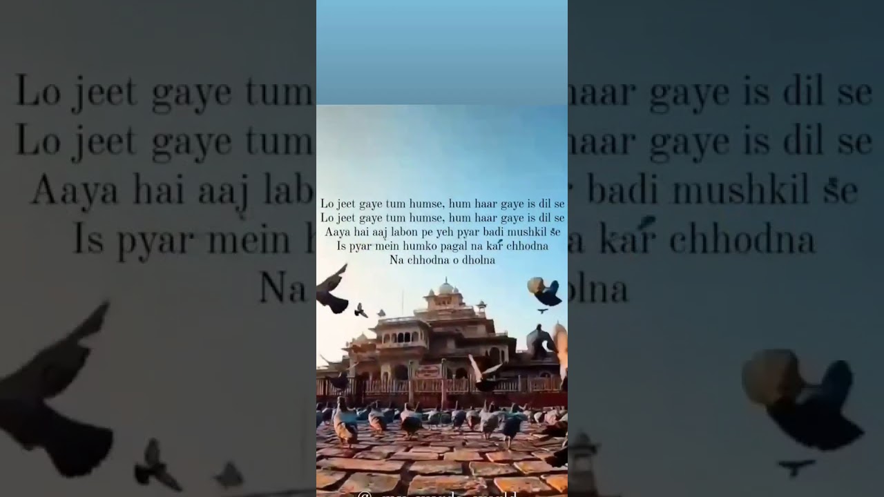 lovely moment of Jaipur Buzz