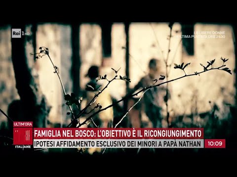 Video Famiglia nel bosco, il 21 aprile udienza in appello su ricongiungimento - Storie italiane 24/03/2026