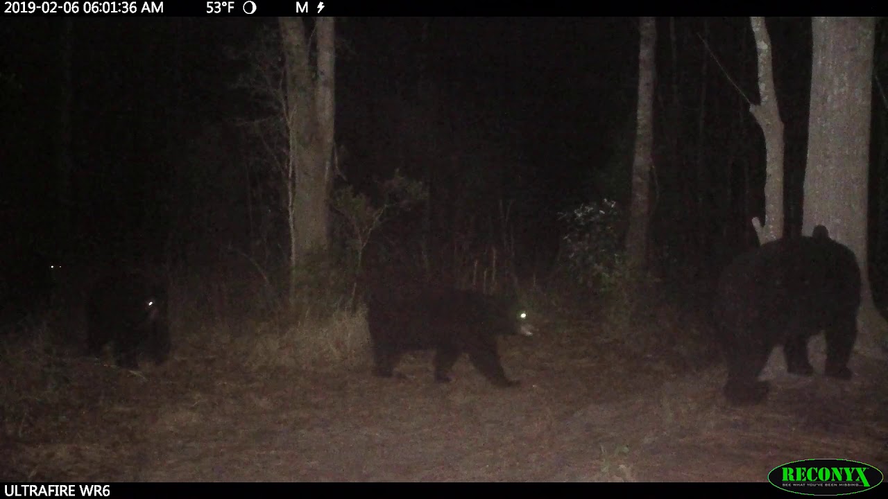 2019 Video Contest - Kathy Rothman, Florida