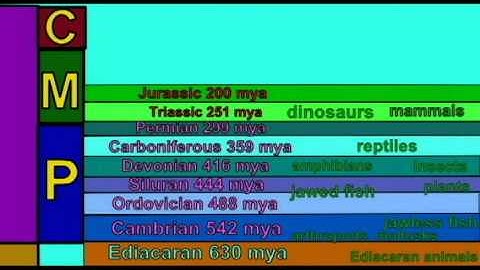 REPTILE EXAM: FOSSIL SNAKES.avi