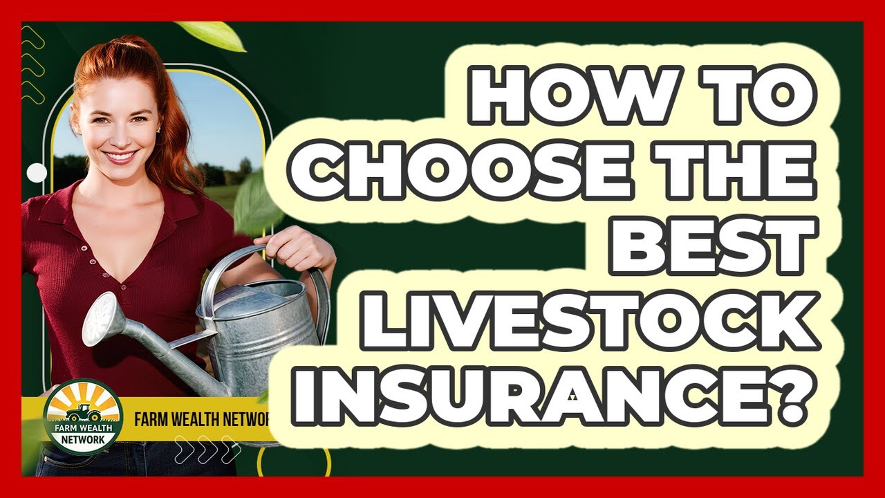 How To Choose The Best Livestock Insurance?