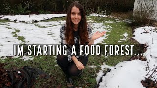 Starting a food forest on 1/4 acre on Vancouver Island