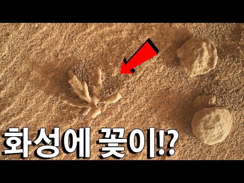 <strong>화성에서</strong> 의문의 &amp;#39;돌꽃&amp;#39; 발견! 화성의 이색 발견 랭킹