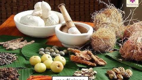 Parts of Plants and Its Uses | Environmental Studies For Kids | Grade 2 | Periwinkle