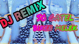 DJ REMIX BIKIN MELEK