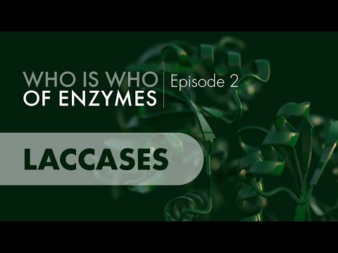 Who Is Who of Enzymes: Laccases