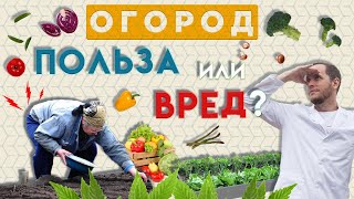 Огород - это полезно! | Как огород вредит пожилым людям | Доктор Епифанов