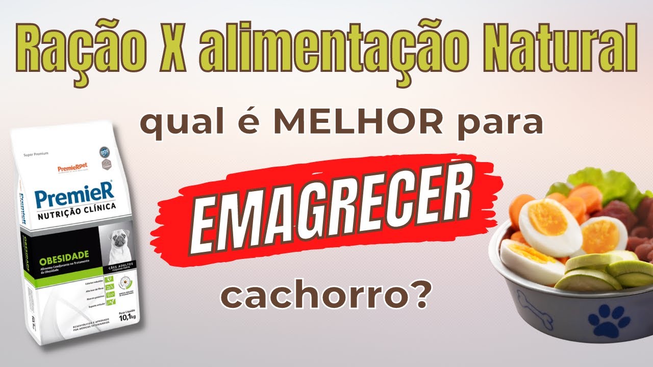 Qual a melhor dieta para emagrecer meu cachorro? - YouTube