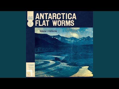 Flat Worms — Antarctica