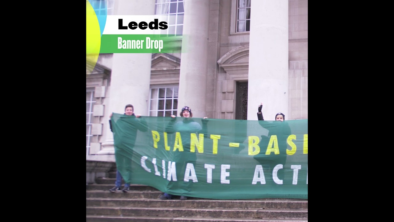 Plant-Based Councils Local Election 2024 Banner Drops