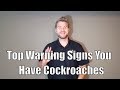 Top Warning Signs You Have Cockroaches In Your Home