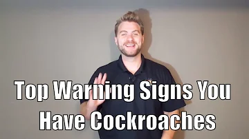 Are baby roaches a bad sign?