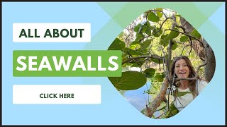 $100,000 FOR A SEAWALL? | All about Seawalls, WHY we need them, TYPES, COSTS and more | with Shayla