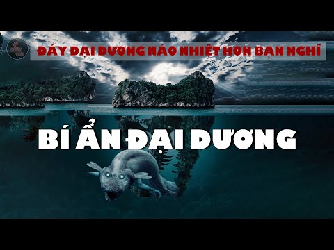 Video: Hoàn lưu đường nhiệt của Đại dương Thế giới là gì?