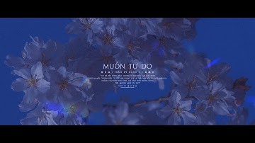 [Vietsub] Muốn Tự Do - Trần Kỳ Danh | 想自由 - 陈麒名