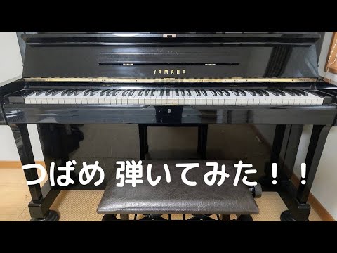 つばめ 弾いてみた！！
