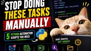 Python Automation Sripts Every Professional and Student Should Know!!🚀🐱💻
