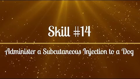 Skill #14- Administer a Subcutaneous Injection to a Dog & Record in Chart