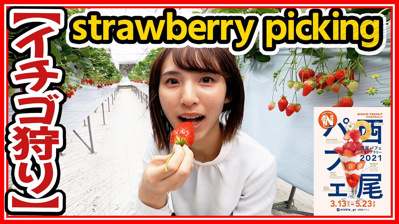 【食べ放題】いちご狩りデートや家族連れにもぴったり！／ニシオノオト：西尾市観光文化振興課 職員がまちの魅力をリポート！