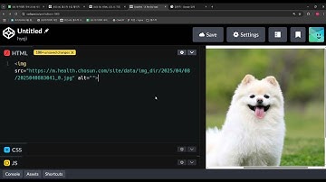 2508, HTML, CSS, JS 기초, 개념, img 엘리먼트