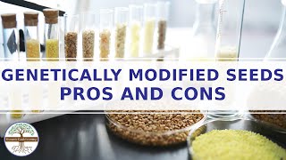 Genetically Modified Seeds Pros and Cons E-Learning Video