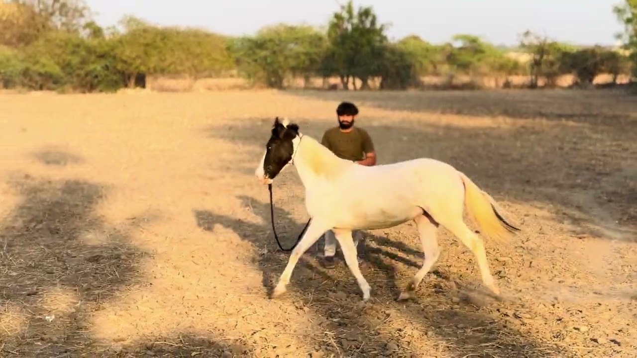 Devi’s 🩶 training time