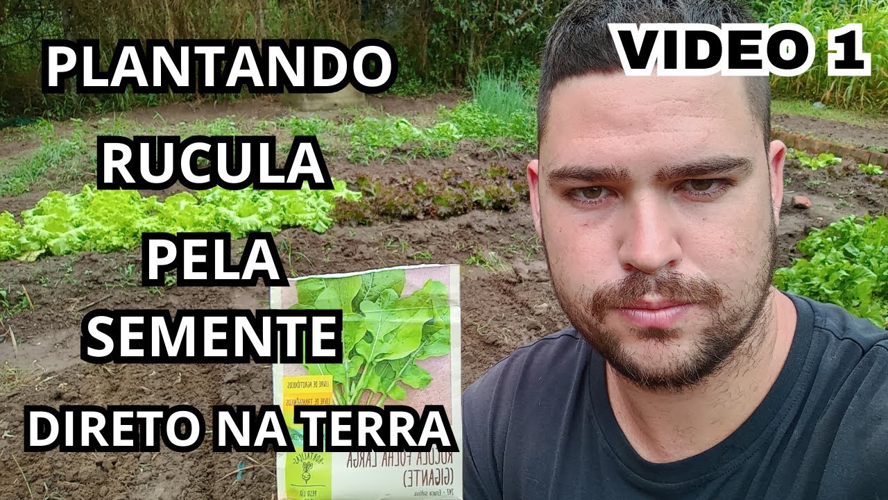 Semear Rucula Como plantar rucula pela semente na horta - YouTube